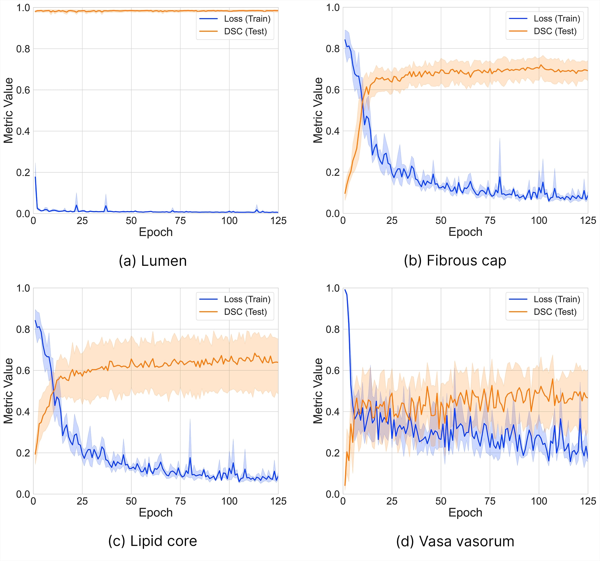 Loss and DSC evolution during training