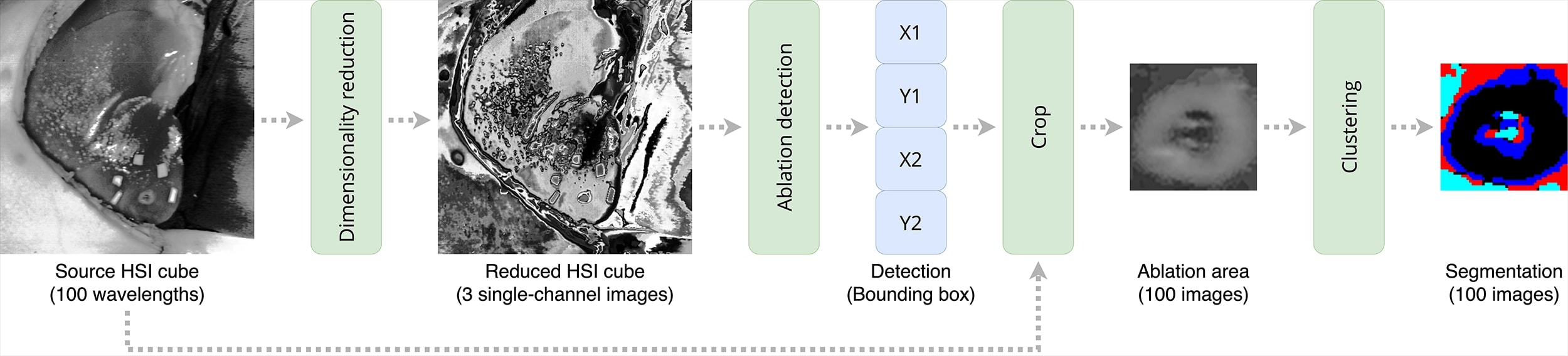 HSI Analysis Workflow